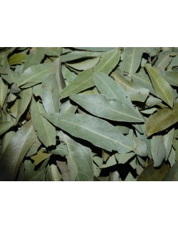 LAUREL