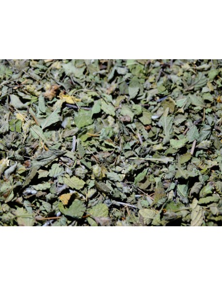 OREGANO ENTERO