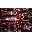CHILE GUAJILLO