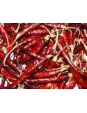 CHILE DE ARBOL NACIONAL