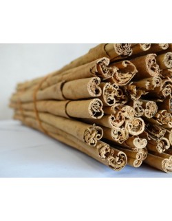 CANELA