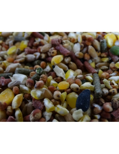 CASTA BRAVA (ALIMENTO PARA GALLOS)